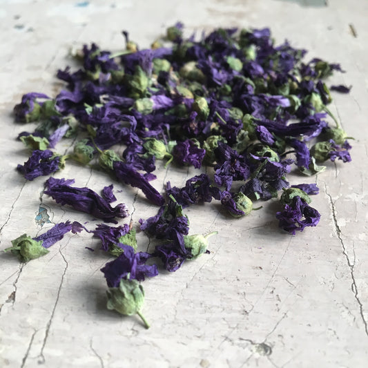 Kwiaty fioletowe - 30g