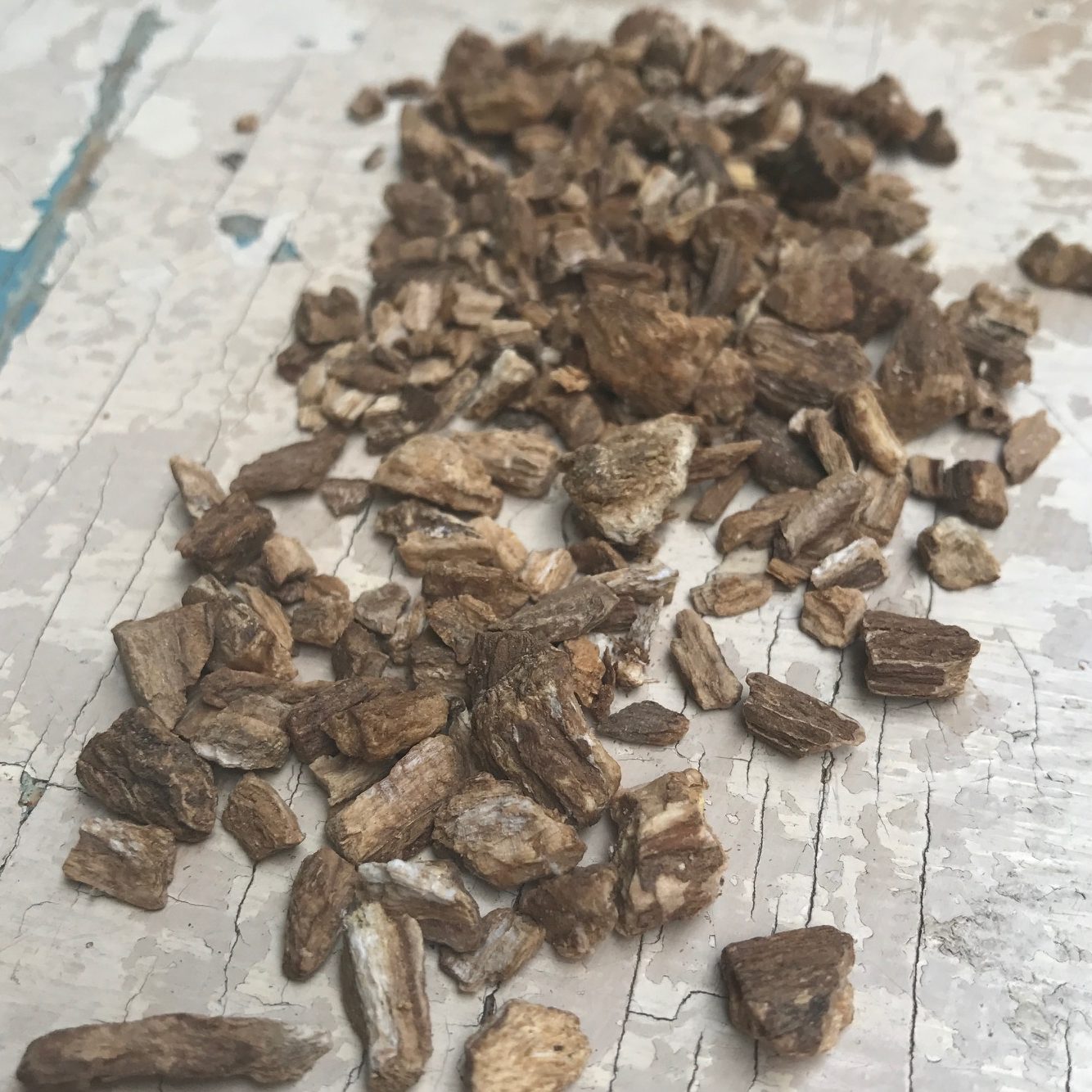 Korzeń rabarbaru - 30g